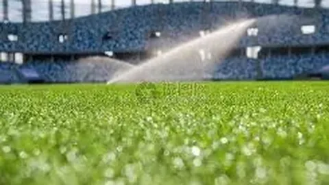 辽篮汇聚顶级阵容，三大核心助力杨鸣夺冠之路稳健